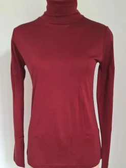 Shirts Mit Seide|Wolle-Seide Shirts^Alkena 55% Seide 45% Wolle ROLLKRAGEN-SHIRT wärmend von