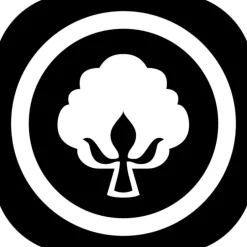 Winterdecken^f.a.n. Frankenstolz Duo Bettdecke AFRICAN COTTON mit Lyocell weiß