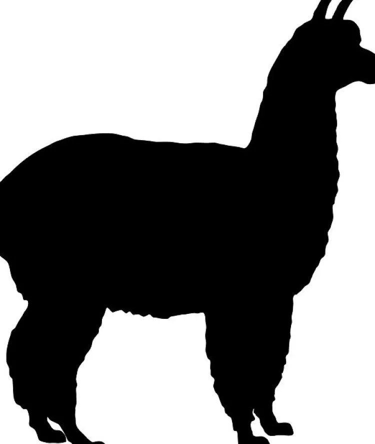 Naturhaardecken|Winterdecken^Sannwald Duo Bettdecke PERU von mit Alpaka weiß