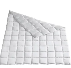 Daunendecken|Sommerdecken^Hu00e4ussling Extra leichte Sommerdecke COMFORT 100% DAUNE von Häussling weiß