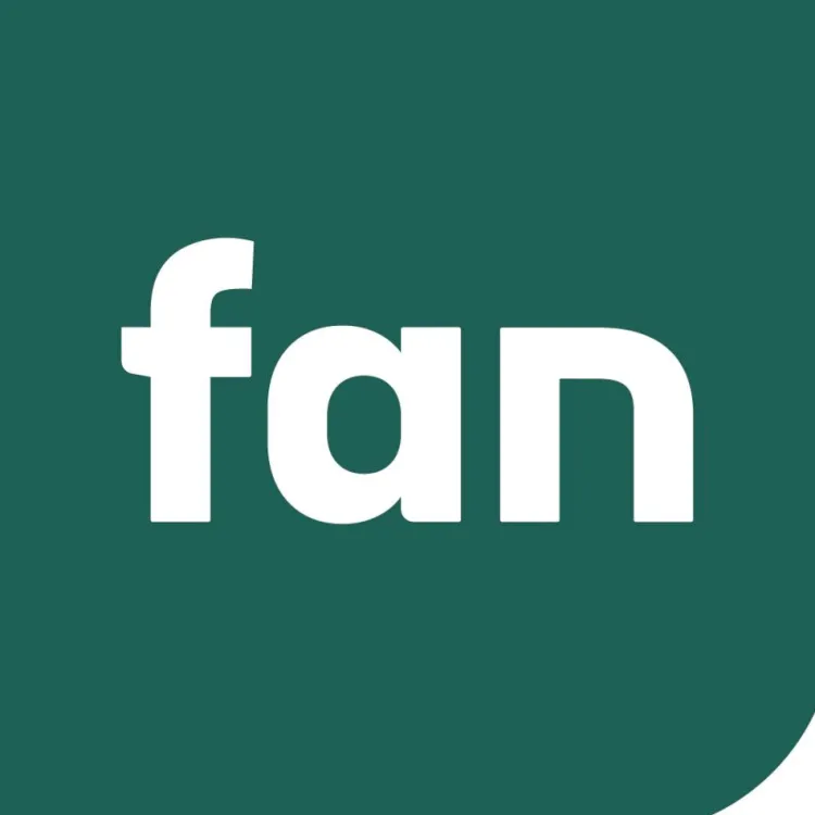 Baumwolle- & Faserkissen^f.a.n. Frankenstolz Frankenstolz Faserkissen AKTION 60° waschbar weiß