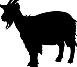 Naturhaarkissen^f.a.n. Frankenstolz Frankenstolz Natur Kopfkissen waschbar mit Kaschmir creme / natur