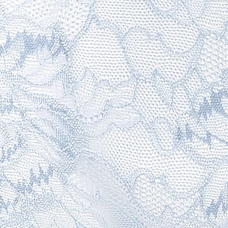 Alle Strings^Triumph Hipster String mit Spitze PEONY FLORALE by