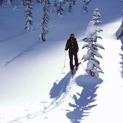 Freizeit- & Reisekleidung|Handschuhe^Traveleru00b4s Tree Innen-Handschuhe GLOVE LINERS 100% Seide Traveler´s Tree® schwarz