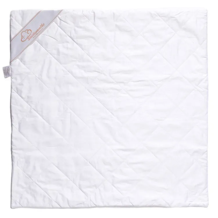 Seide Kissenbezug^Seidenwolke Kissenhülle Premium mit Seide