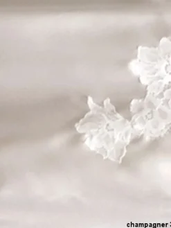 Seidennachthemd|Alle Negligés^Cotton Club Negligé SPLENDIDA mit Seide Seta Superior