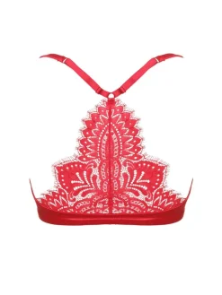 Alle Bhs^Prelude Push Up BH mit Spitzenrücken BLACK SWAN von Milano rot und schwarz