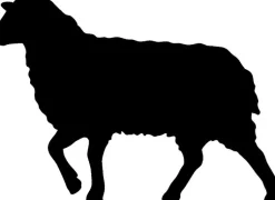 Naturhaarkissen^Sannwald ALPENTRAUM Kopfkissen mit Zirbe creme / natur