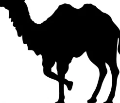 Naturhaarkissen^Sannwald KAIRO Kopfkissen waschbar mit Kamelhaar creme / natur