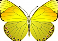 Seidendecken|Medium Bettdecken^HEFEL Seidendecke mittelwarm SILK DREAM GD 100% Wildseide von weiß