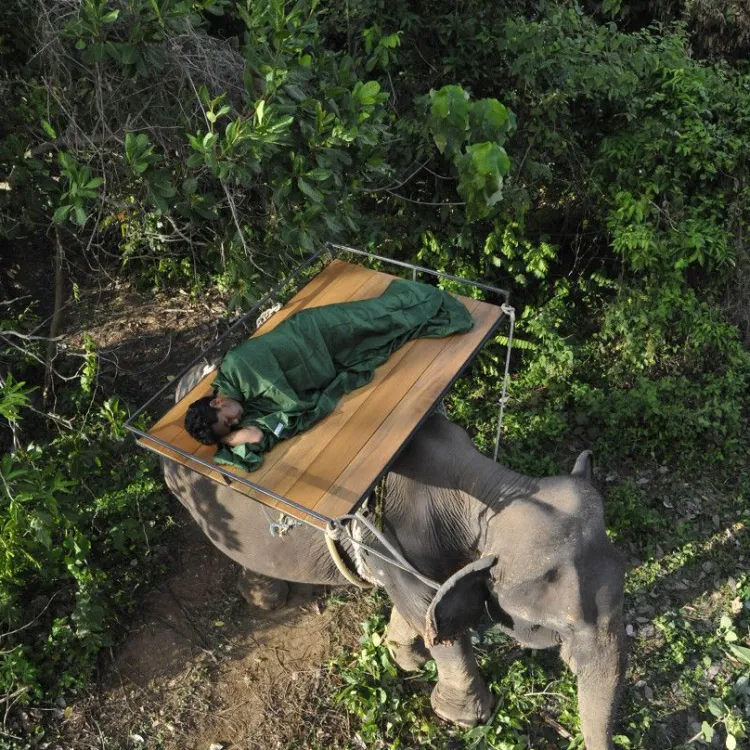 Seidenschlafsack^Cocoon Seidenschlafsack TRAVEL SHEET Premium 100% Silk von ®