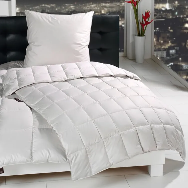 Daunendecken|Sommerdecken^Hu00e4ussling Sommerdecke MOSCHUS ROYAL von Häussling Füllung 100% Daune silbergrau